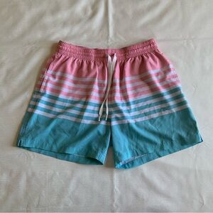 Chubbies Pink and Blue Striped Athletic Shorts
